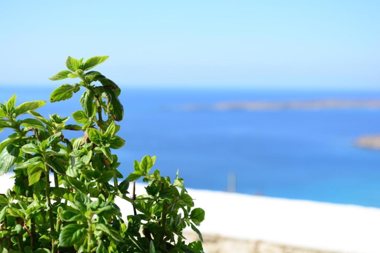 Anemolia Villa Lakki  المظهر الخارجي الصورة